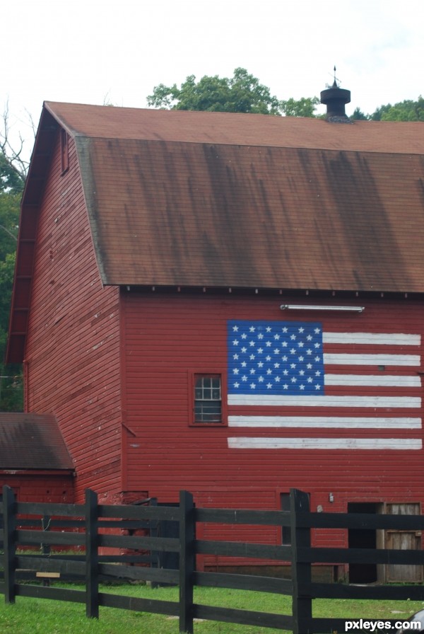 American Farm